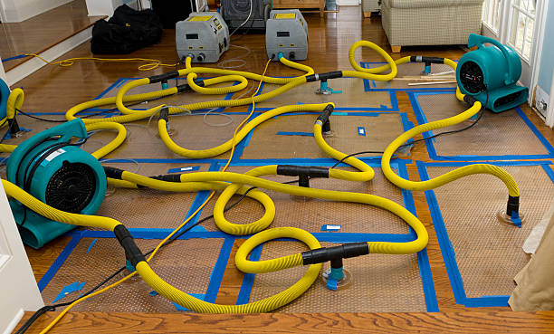 Professional Water Damage Repair technician working in Devers, TX